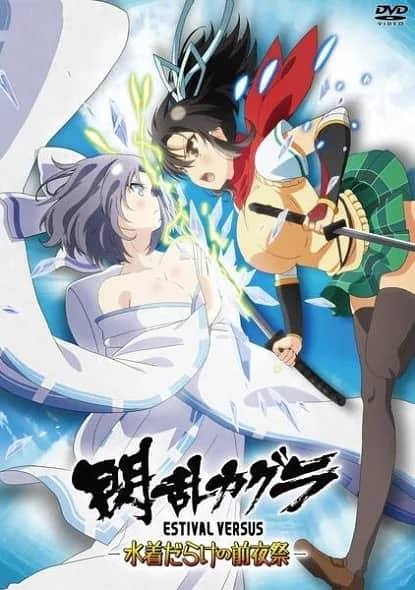 Секретное назначение девушек-ниндзя OVA — постер